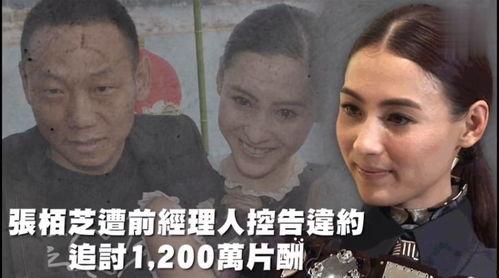 娱乐吃瓜资源,明星幕后那些事儿