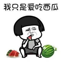 吃瓜专用用语娱乐圈