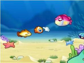 小鱼吃瓜娱乐,揭秘娱乐圈幕后故事，带你领略明星们的真实生活