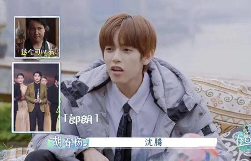 娱乐圈吃瓜关注谁