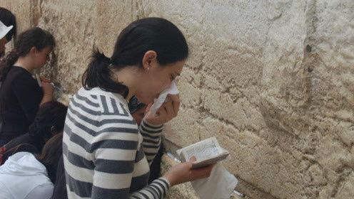 娱乐吃瓜君与七爸,揭秘娱乐圈背后的故事与趣闻