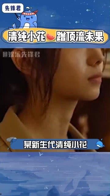 娱乐明星吃瓜直播视频在线观看,揭秘娱乐圈幕后故事