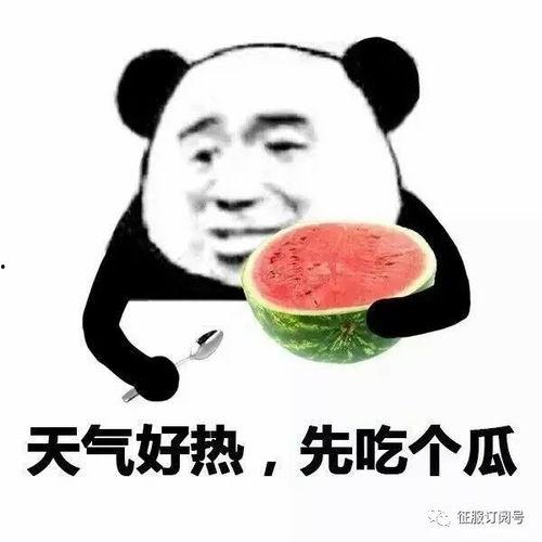 娱乐吃瓜酱管好自己吧,娱乐吃瓜酱的自律之路
