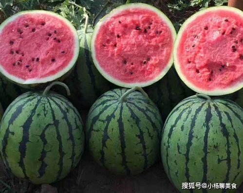 娱乐吃瓜酱的作品好朋友,娱乐吃瓜酱笔下温馨治愈的友情故事