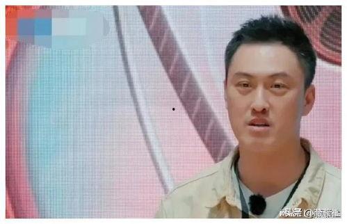 娱乐圈吃瓜爆料早年,揭秘早年吃瓜爆料背后的真相