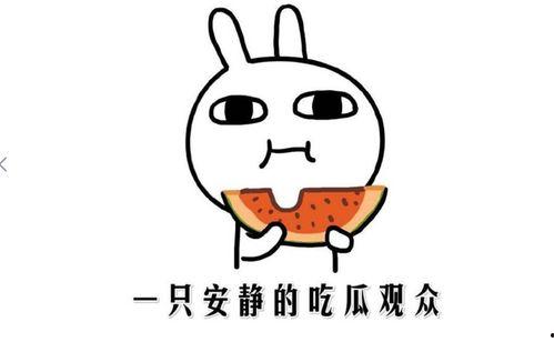 娱乐吃瓜酱如何省钱,轻松打造低成本快乐生活