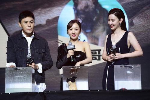 娱乐圈吃瓜爆料一更到底,一网打尽明星秘闻,揭秘幕后真相!